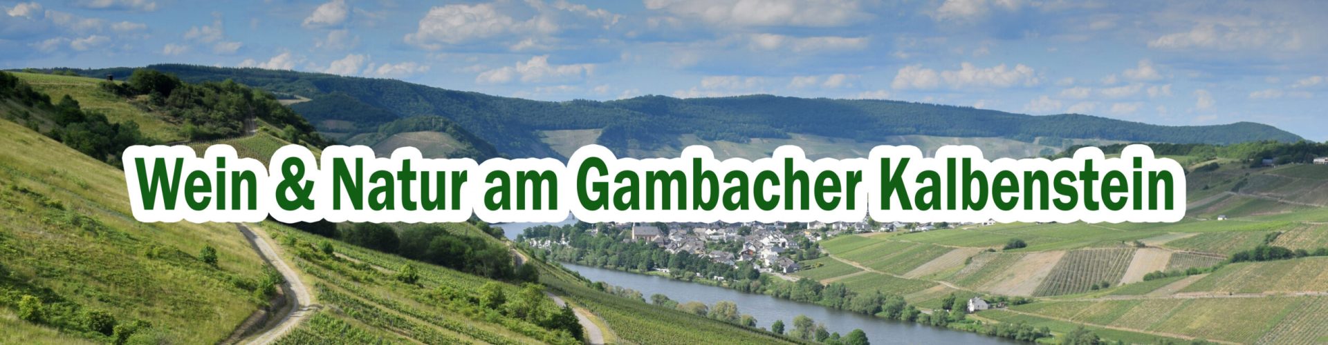 Weinevent am Gambacher Kalbenstein. Wein & Brotzeit und wunderbare Atmopsphäre